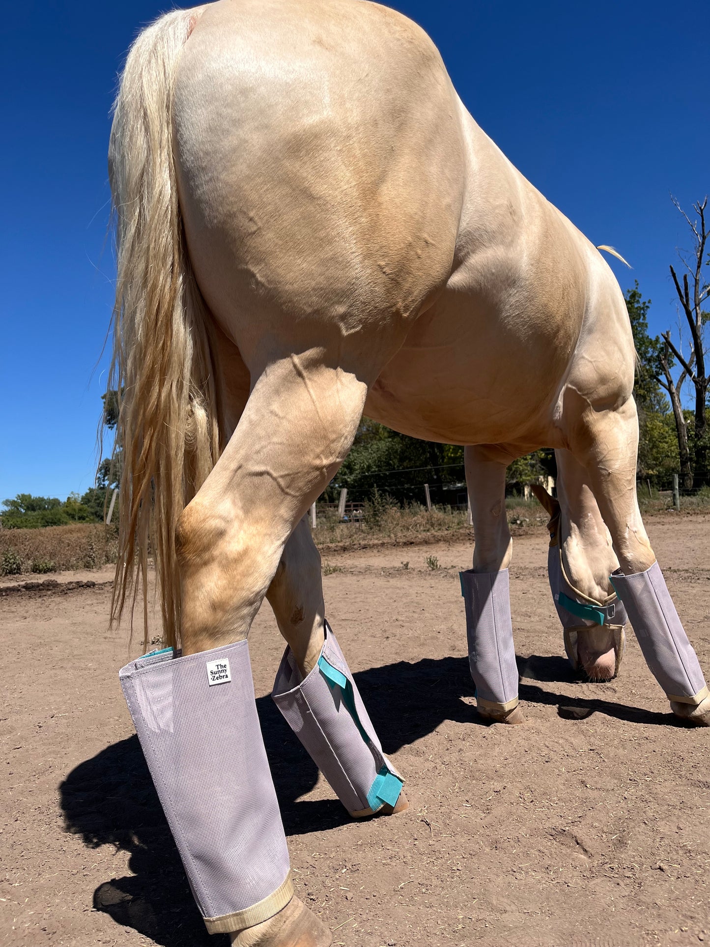Horse Fly Boots, Medium-Size, Breathable Plastic Mesh, Fly Leggings for Horses, Set of 4 Loose-Fitting Boots. Protective Leg Wear