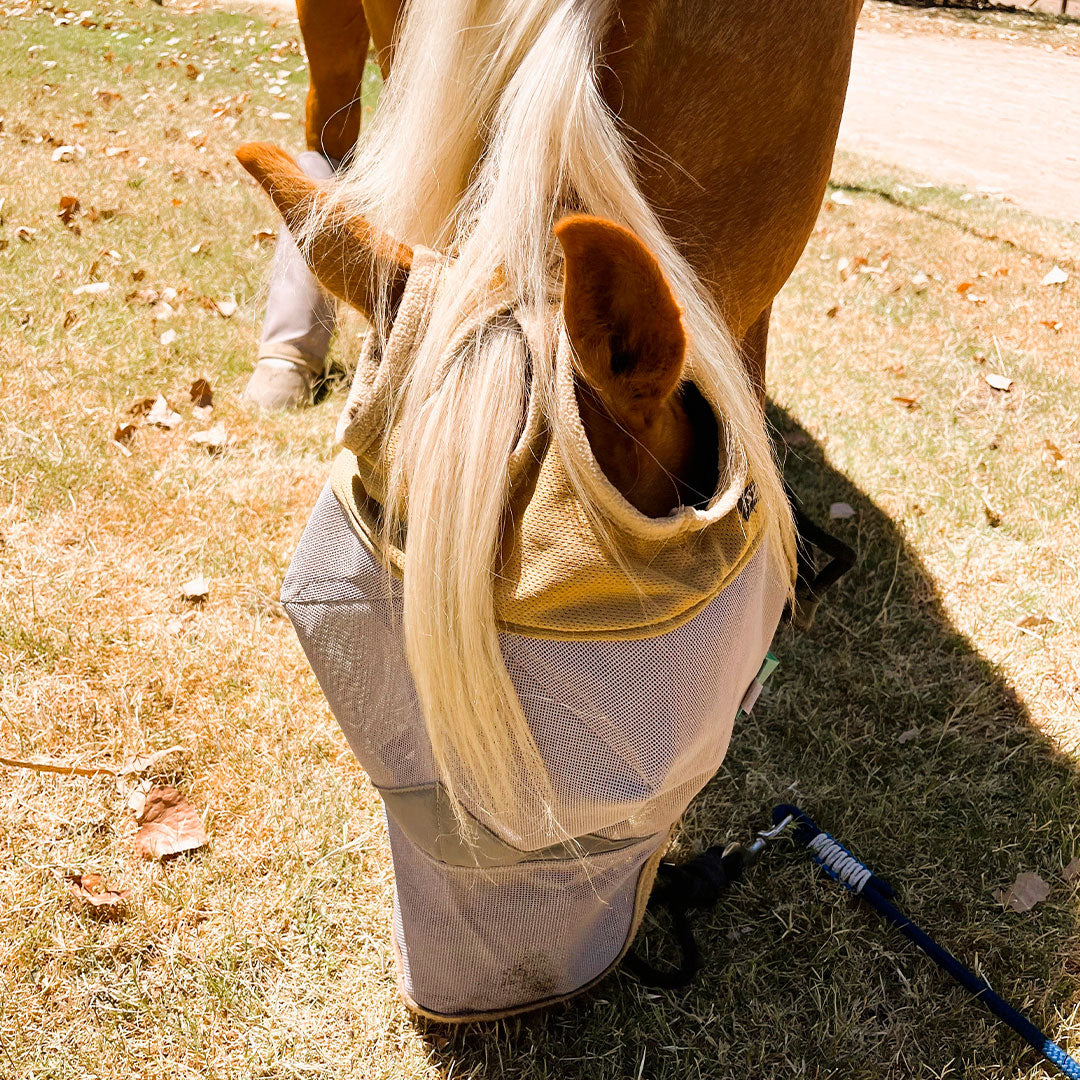 Horse Fly Mask with Nose Cover