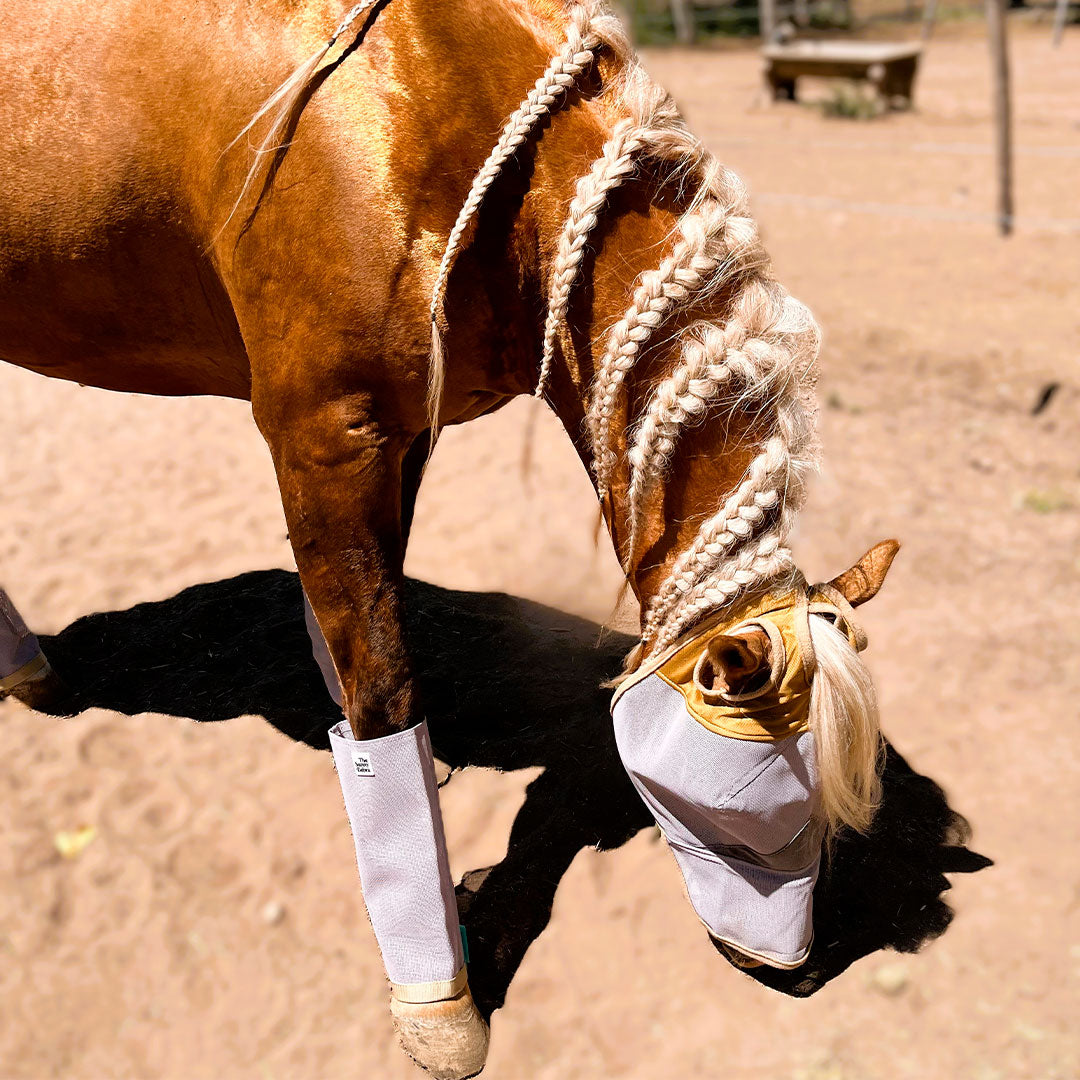 Horse Fly Boots, Medium-Size, Breathable Plastic Mesh, Fly Leggings for Horses, Set of 4 Loose-Fitting Boots. Protective Leg Wear