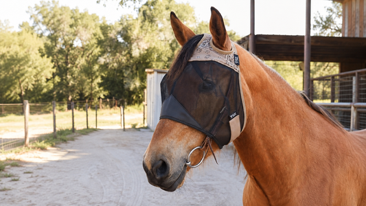 Caballo con Fly Free Ride Mask al aire libre