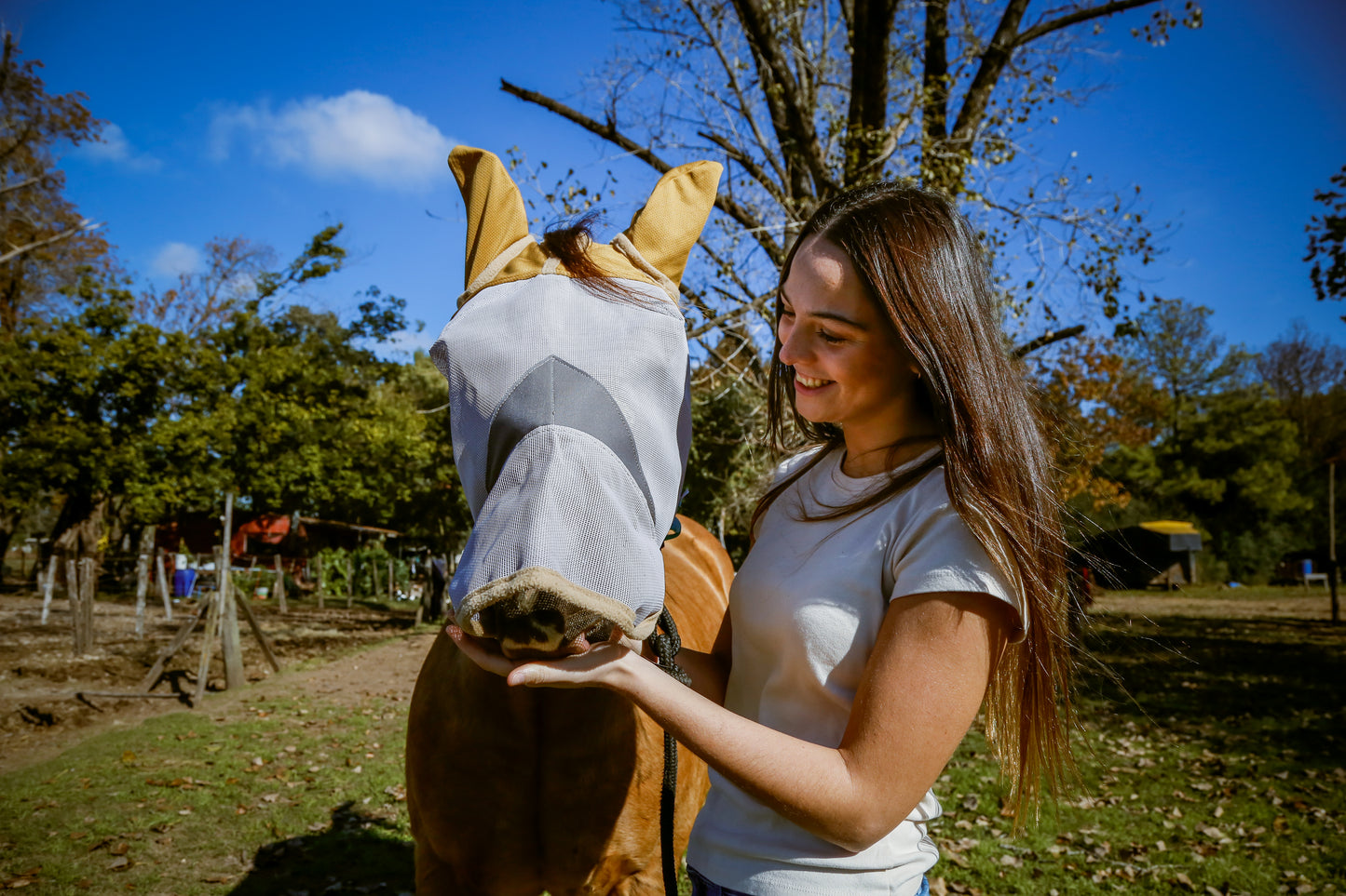 Horse Fly Mask with Ears and Nose