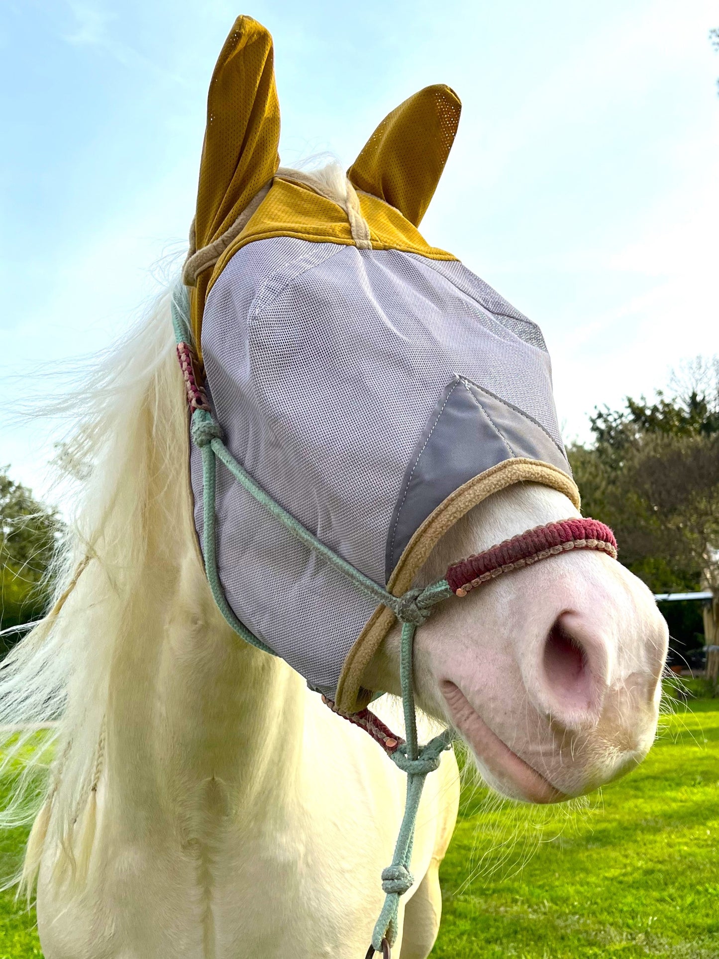 Horse Fly Mask with Ears