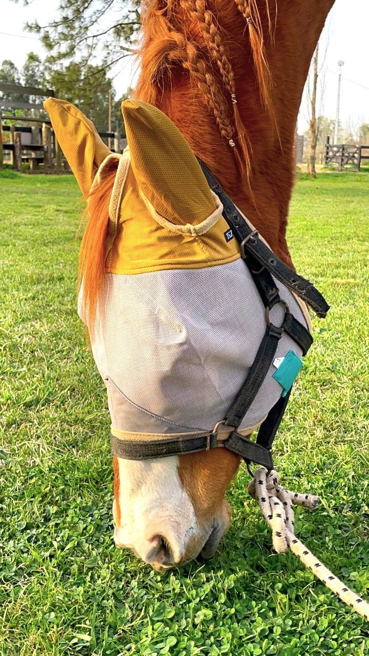 Horse Fly Mask with Ears