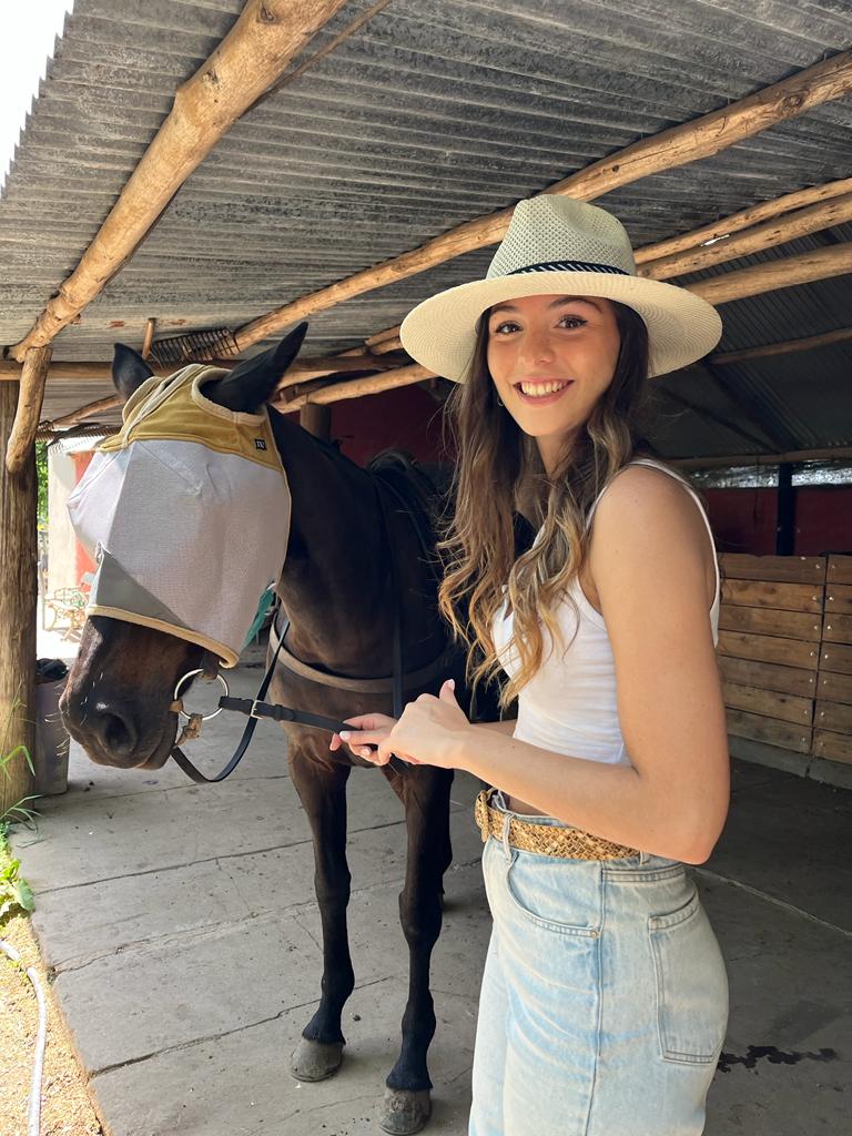 Fly Masks for Horses