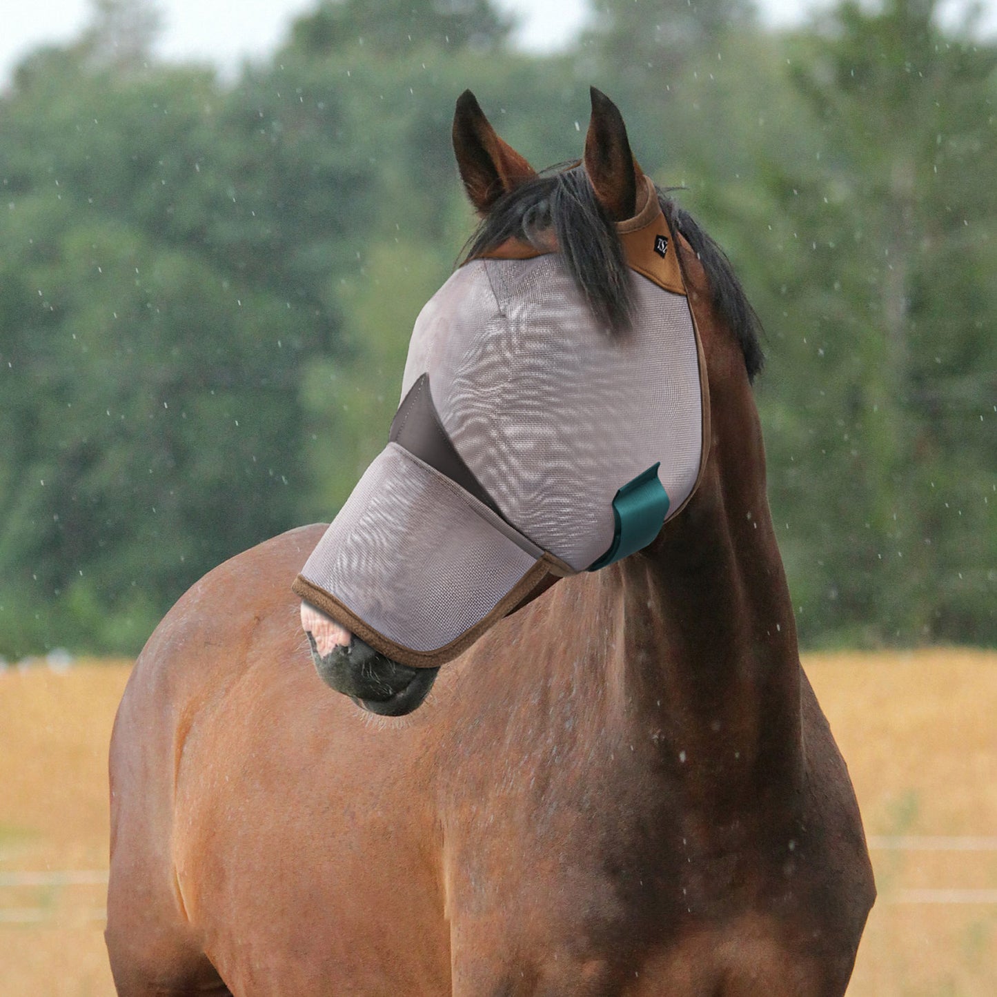 Horse Fly Mask with Nose Cover