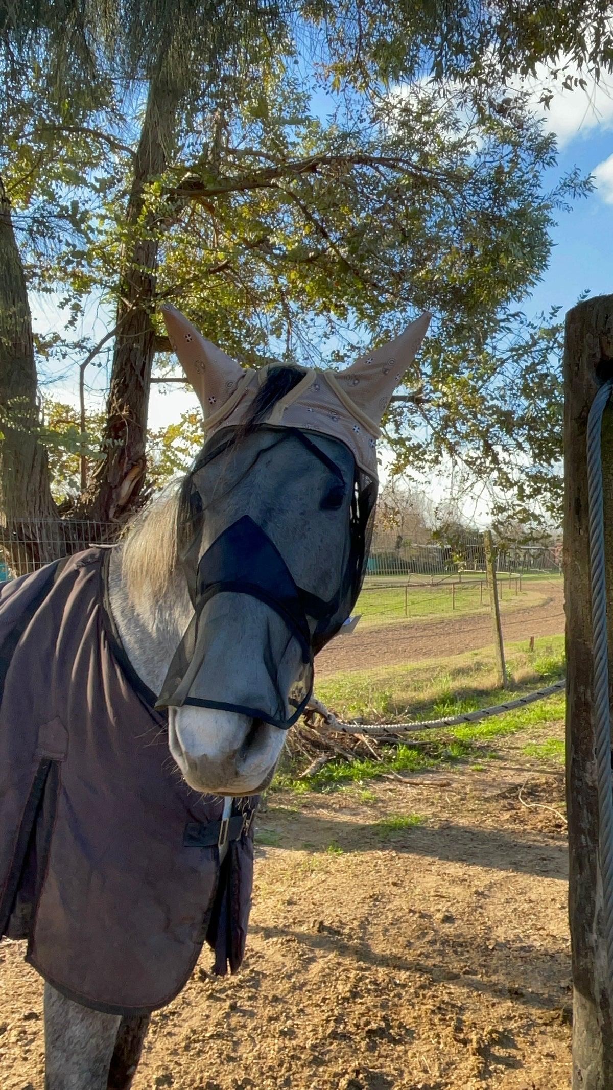 Fly Free Ride with Nose Cover